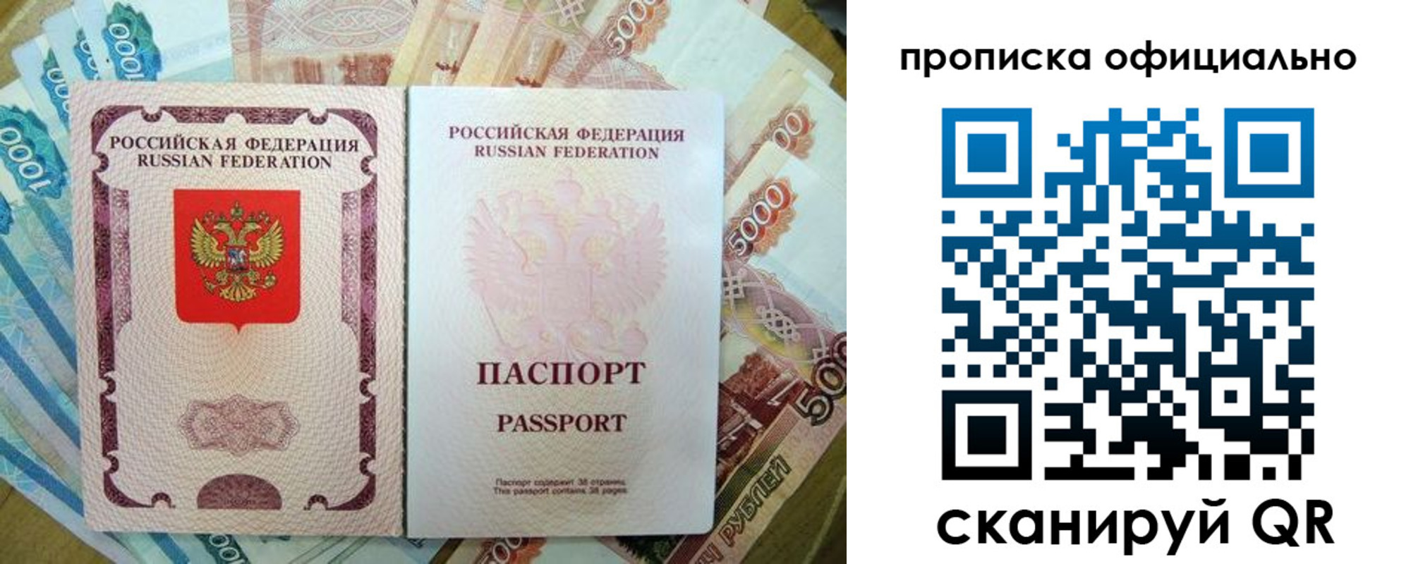 временная регистрация надежно в Светлогорске