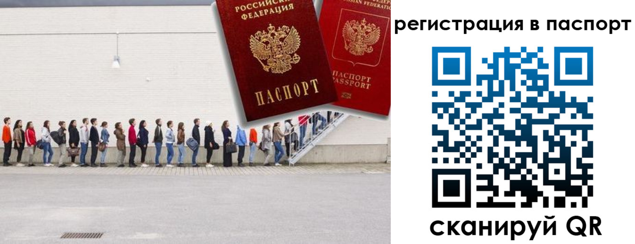 временная регистрация гарантия в Светлогорске